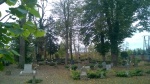 Ewangelicki cmentarz w Bralinie
